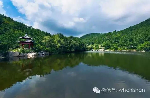 花期已過葉還未紅 去赤山賞云吧！