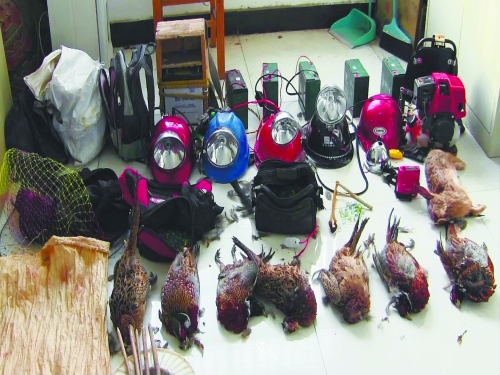 森林警方查獲的部分播放機(jī)、礦燈和獵殺的野生動(dòng)物等