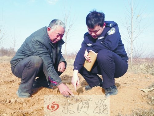 牡丹苗被盜之后，郭萬通又補種的牡丹苗已經(jīng)發(fā)芽