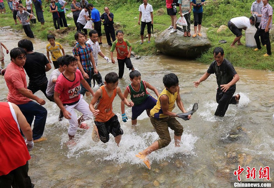 7月9日，村民在小河里摸魚搶魚。譚凱興 攝