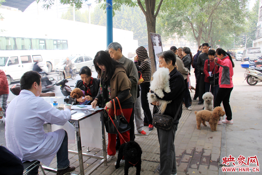 早上8點多，鄭州城市養(yǎng)犬金水區(qū)辦證點已經(jīng)排起了長隊