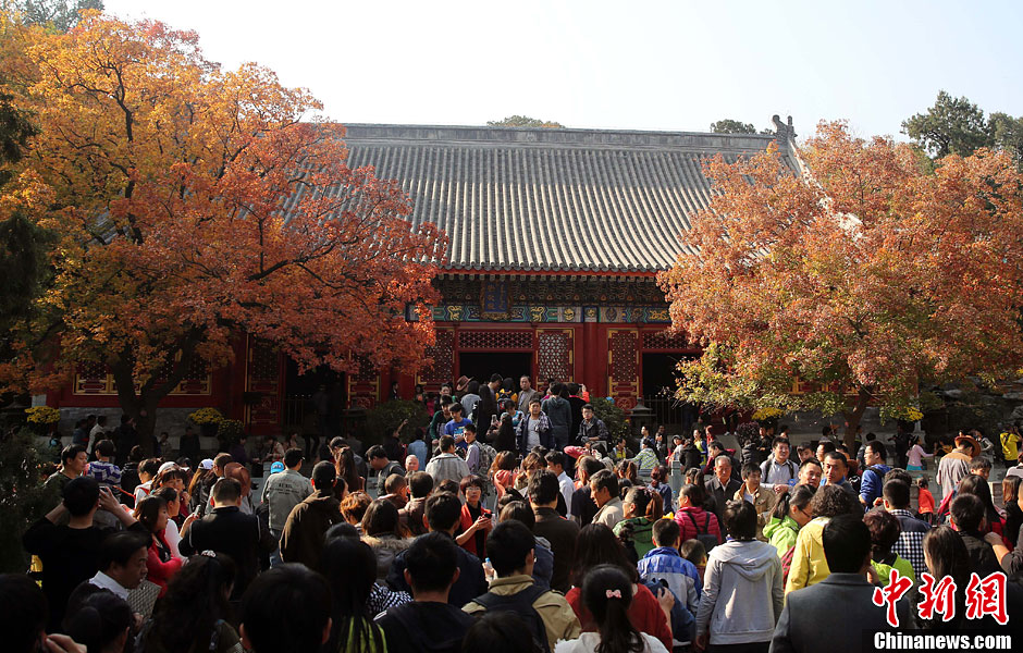 　10月26日，北京香山公園內游客摩肩接踵。