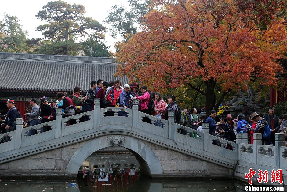 　10月26日，北京香山公園內游客摩肩接踵。