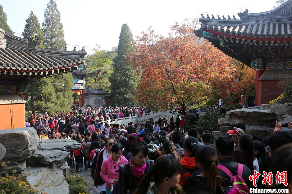 　10月26日，北京香山公園內游客摩肩接踵。