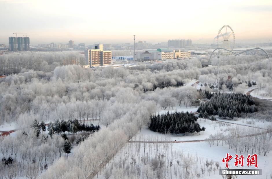 12月10日,受降溫天氣影響,黑河市黑龍江江畔出現(xiàn)綿延數(shù)公里的霧凇景觀。
