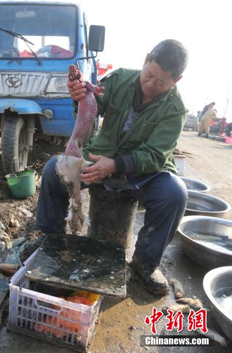 圖為12月1日，104國道靜?？h城附近，顧客挑好后，商販拎著死兔將皮完整地扒下來。田寶希 攝 圖片來