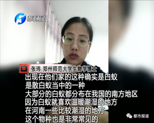 蟻?zhàn)宕筌娙肭?！十幾萬(wàn)裝修的新家被“吃掉”