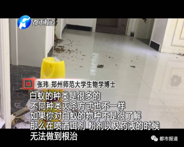 蟻?zhàn)宕筌娙肭?！十幾萬(wàn)裝修的新家被“吃掉”