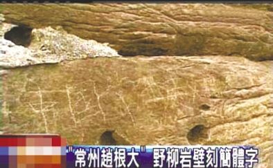 “常州趙根大” 2009年3月27日，臺(tái)灣北海岸野柳地質(zhì)公園巖壁上被刻下“中國(guó)常州趙根大”字樣。臺(tái)灣媒體將此事報(bào)道后，趙根大公開(kāi)道歉。