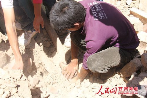 小黃狗露出了鼻子。王生元/攝