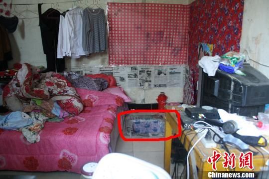 圖上紅圈內(nèi)為嫌犯所挖地窖入口。 吳佳蔚 攝