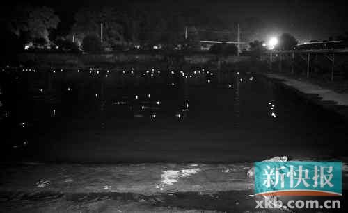 昨日，西湖村鱷魚養(yǎng)殖場已修復(fù)圍欄。