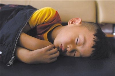 9月6日，等待錄制節(jié)目的多多躺在沙發(fā)上熟睡。新京報記者 侯少卿 攝