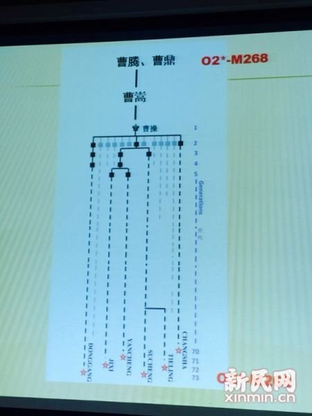 圖說：復(fù)旦課題組發(fā)布曹操家族DNA研究結(jié)果。新民網(wǎng) 記者 李欣 攝