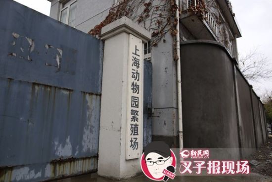 圖說：新民網(wǎng)記者趕到時(shí)，上海動(dòng)物園繁殖場(chǎng)大門緊閉。新民網(wǎng) 記者 蕭君瑋 攝