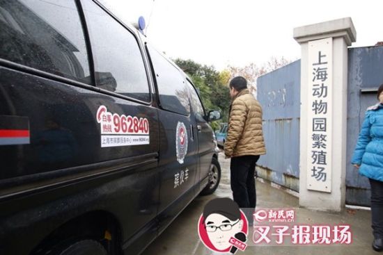 殯葬車到達(dá)現(xiàn)場(chǎng)。新民網(wǎng) 記者 蕭君瑋 攝