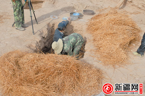 考古人員正在清理麥稈。（圖由中國科學(xué)院人文學(xué)院科技室與科技考古系提供）