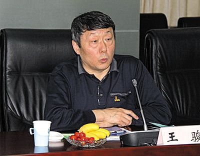 國(guó)家能源局新能源和可再生能源司司長(zhǎng)王駿。