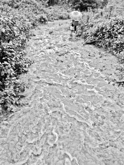梅子回家的山道，晴天是路，雨天是河