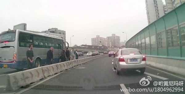 圖說:網(wǎng)友發(fā)布的老外在高架上行為不雅的照片。