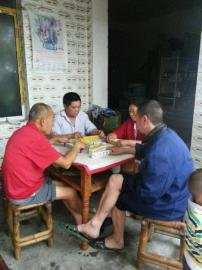 掃水掃不及，胥家鎮(zhèn)柏河村的居民干脆打起了麻將。