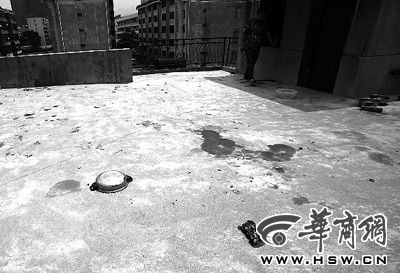 藏獒就養(yǎng)在這個樓頂，孩子從欄桿處墜落 本報記者 趙航 攝