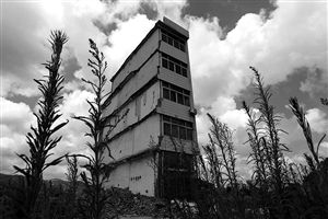 這幢5層的“片片樓”周圍已是一片拆遷后的廢墟，左邊的一堵墻上，不少鋼筋裸露在外面 圖片來源：新華網
