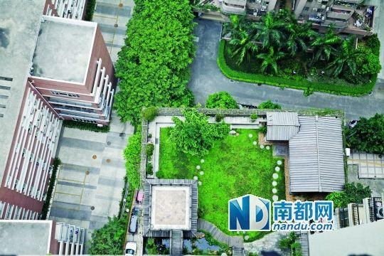 中旅商務(wù)大廈的“空中花園”。