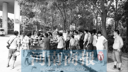 北環(huán)南陽路立交橋下，瓜農(nóng)小秦被打后，附近瓜農(nóng)紛紛圍了上來