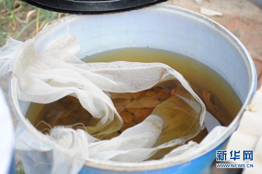 地下水成“綠茶”　污染二十多年該誰(shuí)治？