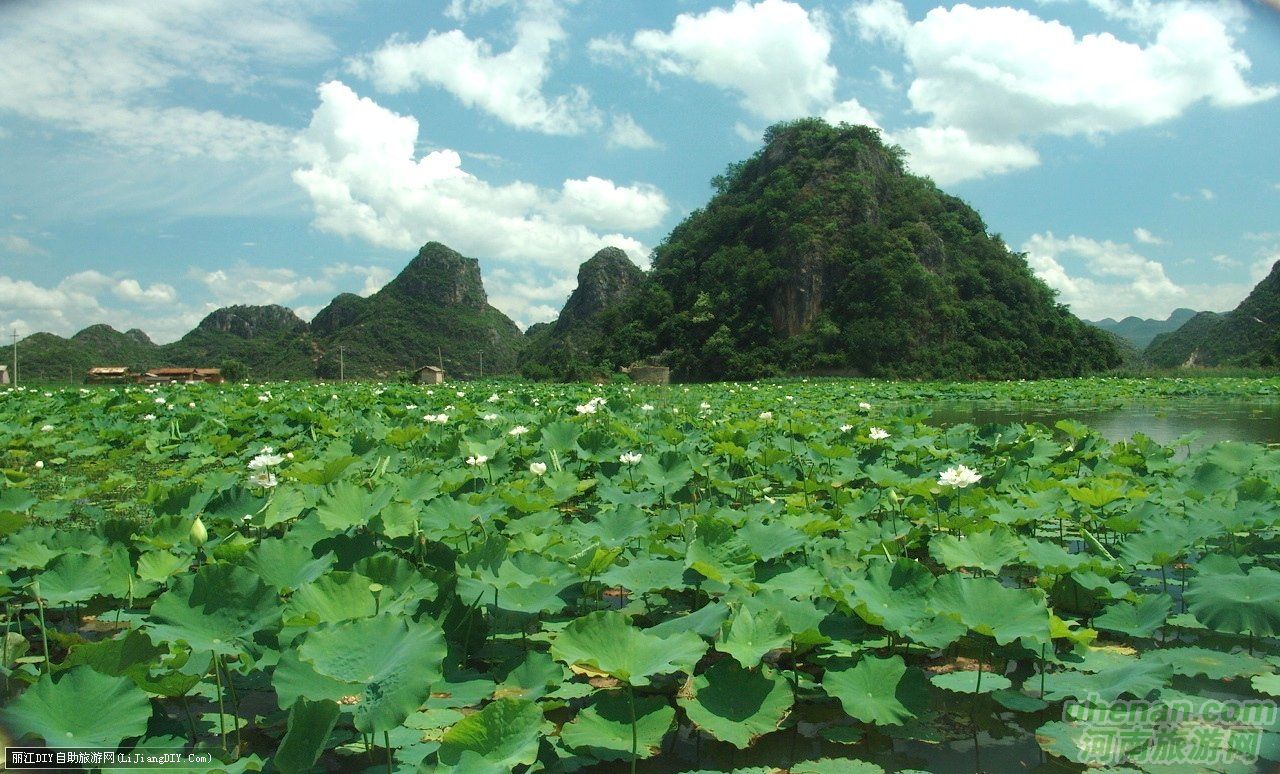 爸爸去哪兒？親密接觸荷花仙子