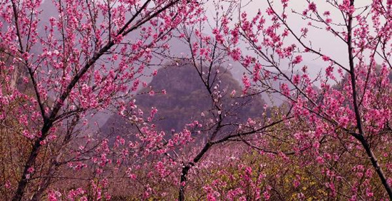 撿垃圾換玫瑰 女人節(jié) 愛在神農(nóng)山！