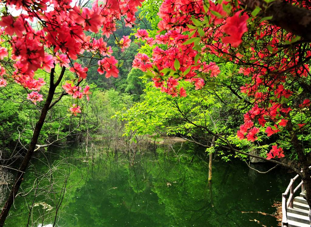 母親節(jié)河南景區(qū)優(yōu)惠大波來襲！