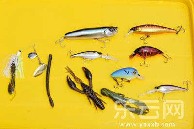 　　又稱擬餌釣魚,起源于歐洲,國內(nèi)翻譯為“路亞”。