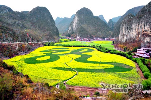 　　貴州油菜花景自以“立體多層,起伏跌宕”的油菜花景觀著稱。(圖片來源:CFP)