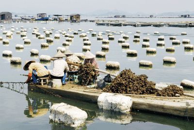 以漁為生，造就了他們不同于內(nèi)地的口味