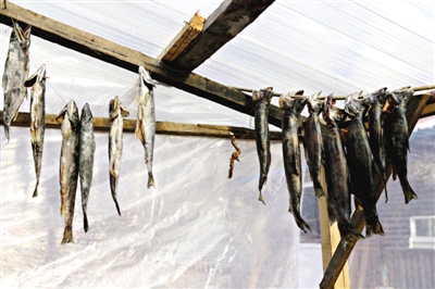 長白山腳下一家小餐館內(nèi)晾曬的冷水魚。