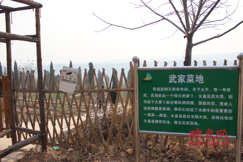 武家菜地就是這，據(jù)說里面有個特大的蘿卜