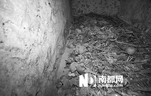 　5月29日，在以色列特拉維夫市雅法地區(qū)，一處集體墳?zāi)贡话l(fā)現(xiàn)。