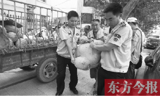 昨日，鄭州金水區(qū)執(zhí)法局的執(zhí)法隊(duì)員捐錢買瓜，替瓜農(nóng)解憂