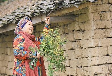 公式“時尚奶奶”的賞花照，收獲了好多人的點贊。 受訪者供圖