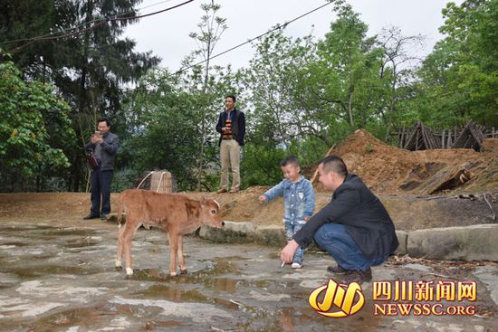 村里人知道后，前來看熱鬧