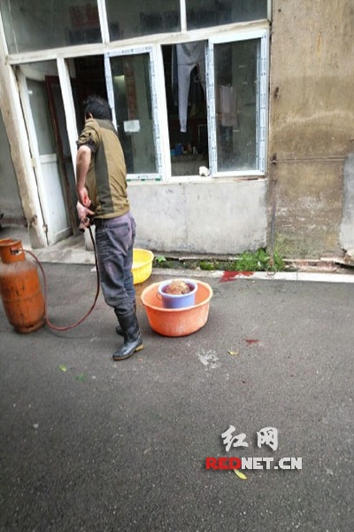 5月8日，男子在校園里殺狗，地上殘留一塊血跡。目擊者供圖。
