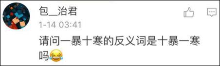 鶴立雞群？雞立鶴群！