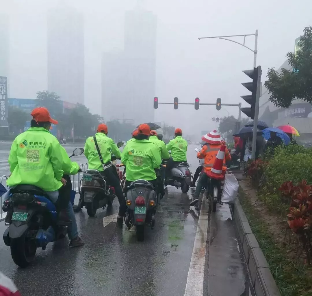 出門打驢？ 南寧“滴滴打驢”被緊急叫停