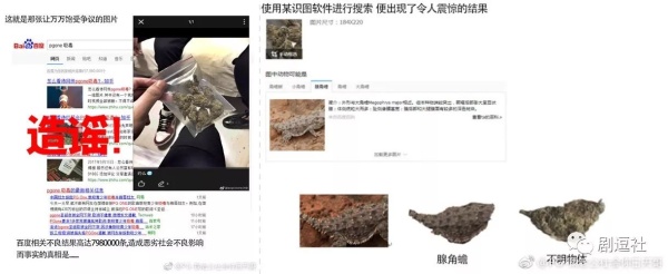 PGone又教給我們一個新詞：虐粉。