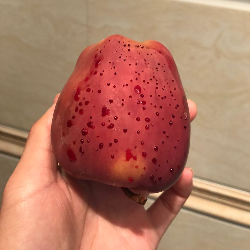 嚇懵！女子用熱水泡蘋果結(jié)果冒出血珠 咋回事？