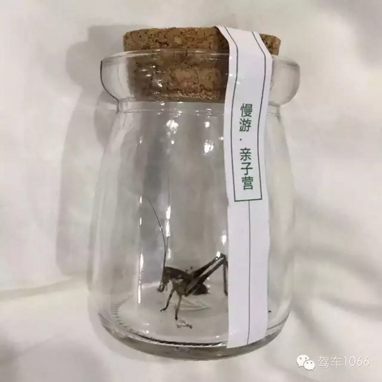 看看我的成果吧！