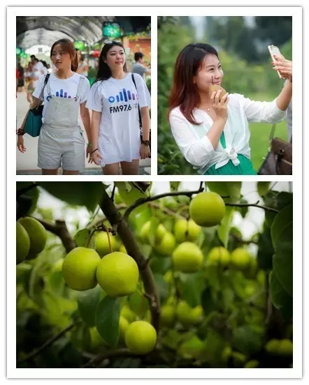 美女與香梨，你更愛哪一個(gè)？！