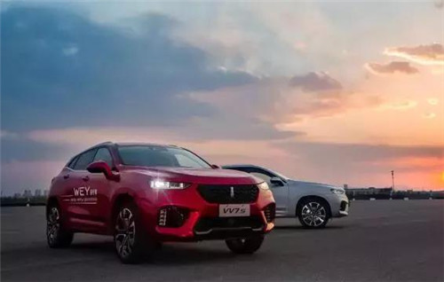 去年“蹦”出來的新汽車品牌們，現(xiàn)在活得怎么樣了？